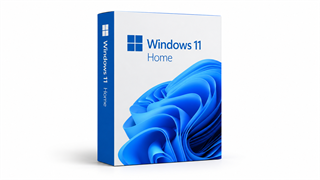 Windows pro PC