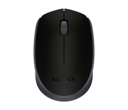 Logitech M171 Kancelářská Optická 1 000 DPI Bezdrátová USB Černá