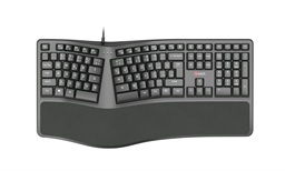 Klávesnice C-TECH KB-113E USB, ERGO, černá, CZ SK