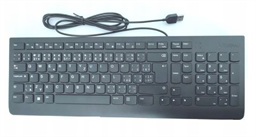 Lenovo Essential Wired Keyboard Drátové USB-A CZ SK Černá