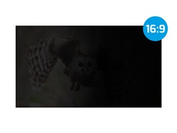 Privátní filtr Natec Owl 14" 16:9
