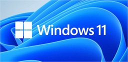 MS Windows 11 Professional 64-bit Slovak 1pk OEM DVD