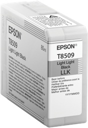 Epson Singlepack Photo Light Light Black T850900 UltraChrome HD ink 80ml