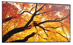 50" LED SHARP M502,3840x2160,24 7