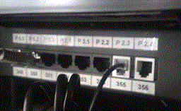 DATACOM Adaptér RJ45 na RJ12 (RJ11) bílá 100ks