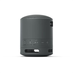 Sony SRS-XB100 Mono Černá
