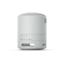 Sony SRS-XB100 Mono Šedá